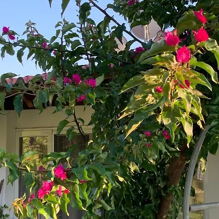 La Casa Di Mare Agios Gordios (Corfu)